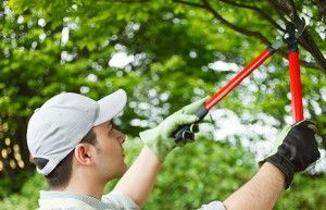 gardening golders green, nw11