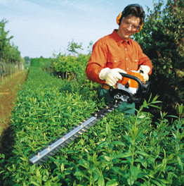 Hedge Trimming Golders Green