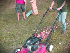 lawn-mowing-sevices-golders-green